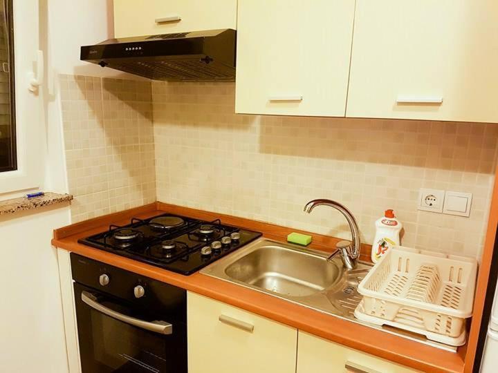 Apartment Renic *